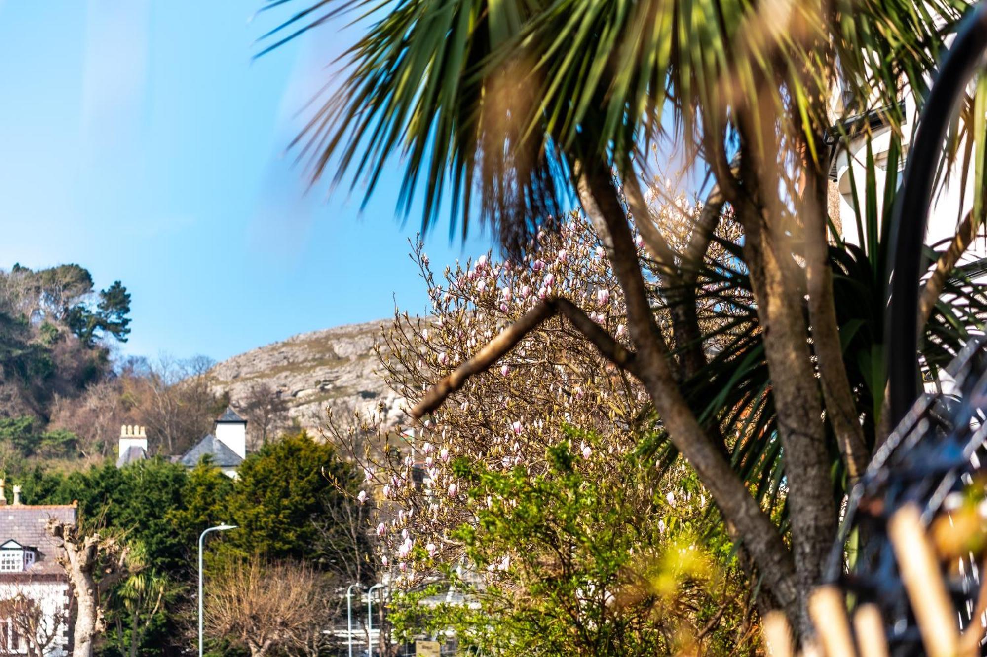 Hotel Mulberry House Llandudno Zewnętrze zdjęcie